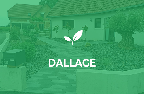 Dallage 2