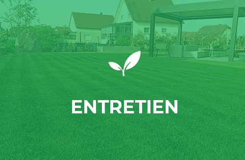 Entretien 2