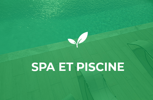 SPA Piscine 2